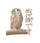 毎日使えるフクロウさんスタンプ（個別スタンプ：12）