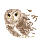 毎日使えるフクロウさんスタンプ（個別スタンプ：18）