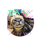 ウチの猫S（個別スタンプ：2）