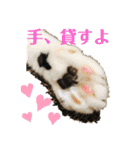 ウチの猫S（個別スタンプ：18）