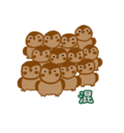 スズメ 1（個別スタンプ：40）