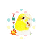 シロハラインコとニョオウインコ（個別スタンプ：9）