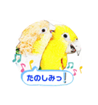 シロハラインコとニョオウインコ（個別スタンプ：10）