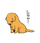 オノマトペ生活（個別スタンプ：14）