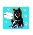 やまと(U´・ェ・)（個別スタンプ：1）