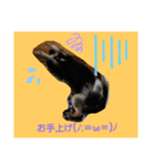 やまと(U´・ェ・)（個別スタンプ：2）