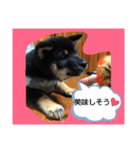 やまと(U´・ェ・)（個別スタンプ：3）
