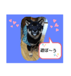 やまと(U´・ェ・)（個別スタンプ：5）