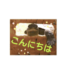 かめたろうのスタンプその2（個別スタンプ：20）