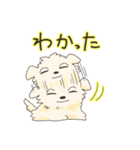 ペキニーズのハクくん（個別スタンプ：1）