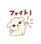 ペキニーズのハクくん（個別スタンプ：2）