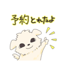 ペキニーズのハクくん（個別スタンプ：3）