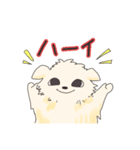 ペキニーズのハクくん（個別スタンプ：4）