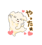 ペキニーズのハクくん（個別スタンプ：8）