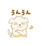 ペキニーズのハクくん（個別スタンプ：12）