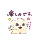 ペキニーズのハクくん（個別スタンプ：13）