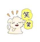 ペキニーズのハクくん（個別スタンプ：14）