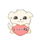 ペキニーズのハクくん（個別スタンプ：15）