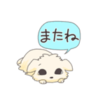 ペキニーズのハクくん（個別スタンプ：16）