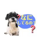ポンタスタンプ～M家の日常会話（個別スタンプ：7）