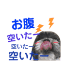 ポンタスタンプ～M家の日常会話（個別スタンプ：8）
