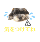 ポンタスタンプ～M家の日常会話（個別スタンプ：13）