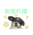 ポンタスタンプ～M家の日常会話（個別スタンプ：14）