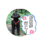トムさんと仲間たち7（個別スタンプ：1）