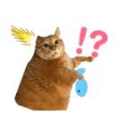 トムさんと仲間たち7（個別スタンプ：6）