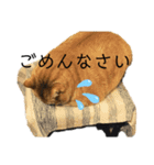 トムさんと仲間たち7（個別スタンプ：13）