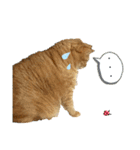 トムさんと仲間たち7（個別スタンプ：15）