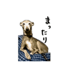 スパンキー☆スタンプ2（個別スタンプ：20）