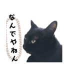 黒猫スタンプMoon＆Sun（個別スタンプ：31）