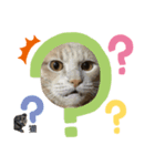 猫さんと仲間たち（個別スタンプ：3）