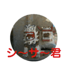 シーサー嬢（個別スタンプ：1）