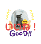 シーサー嬢（個別スタンプ：3）