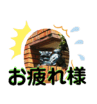 シーサー嬢（個別スタンプ：4）