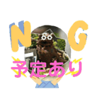 シーサー嬢（個別スタンプ：6）