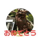 シーサー嬢（個別スタンプ：7）