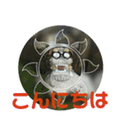 シーサー嬢（個別スタンプ：12）