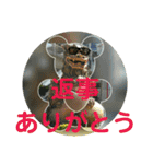 シーサー嬢（個別スタンプ：19）