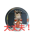 シーサー嬢（個別スタンプ：20）