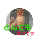 シーサー嬢（個別スタンプ：22）