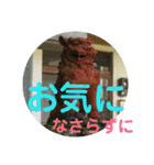 シーサー嬢（個別スタンプ：25）