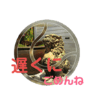 シーサー嬢（個別スタンプ：28）