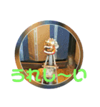 シーサー嬢（個別スタンプ：37）