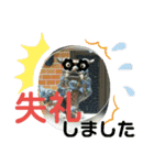 シーサー嬢（個別スタンプ：38）