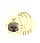 キュートなわんわんスタンプ（個別スタンプ：9）
