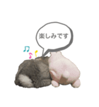 まるスタンプ（ロップイヤー）（個別スタンプ：2）