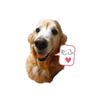 もこ氏（個別スタンプ：2）